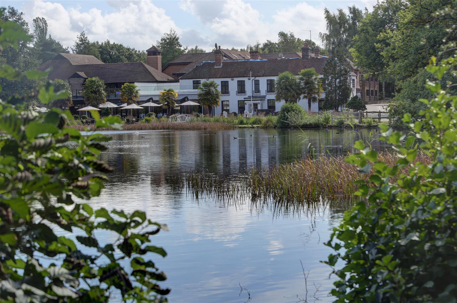 Frensham Pond Country House Hotel & Spa Farnham  Exterior photo
